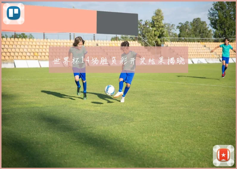 世界杯14场胜负彩开奖结果揭晓