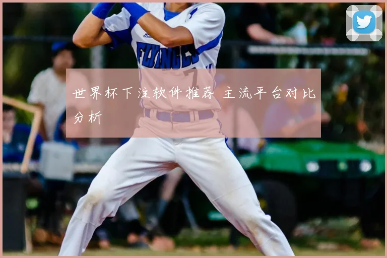 世界杯下注软件推荐 主流平台对比分析