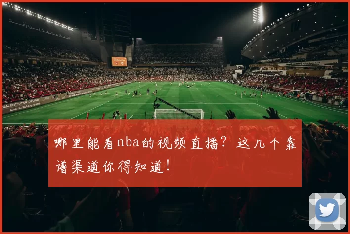 哪里能看nba的视频直播？这几个靠谱渠道你得知道！