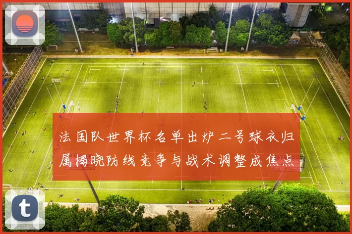 法国队世界杯名单出炉二号球衣归属揭晓防线竞争与战术调整成焦点