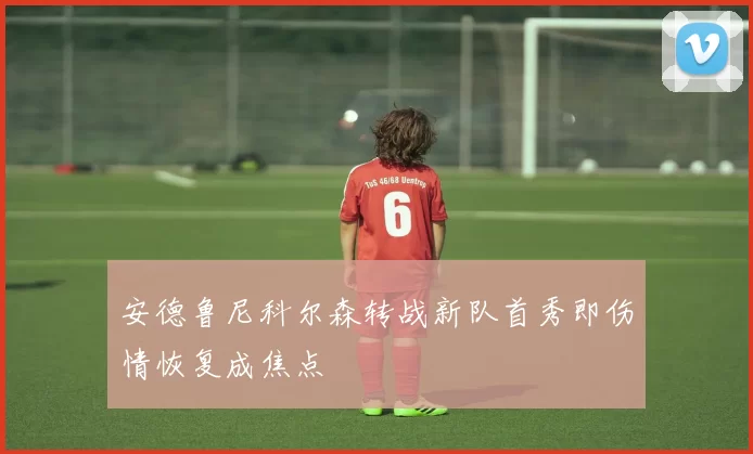 安德鲁尼科尔森转战新队首秀即伤情恢复成焦点